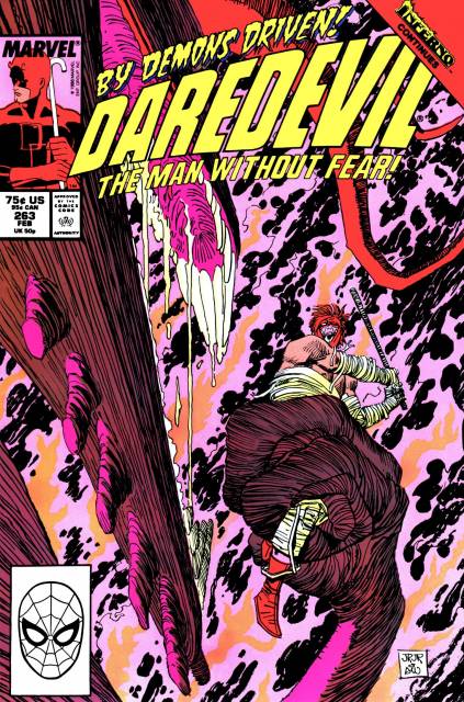 Daredevil #263 (Feb 1989)