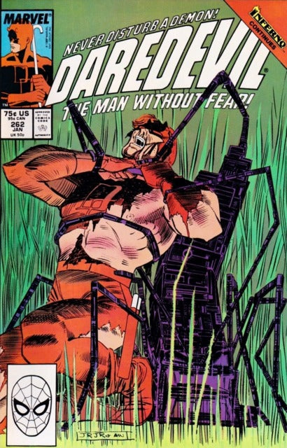 Daredevil #262 (Jan 1989)